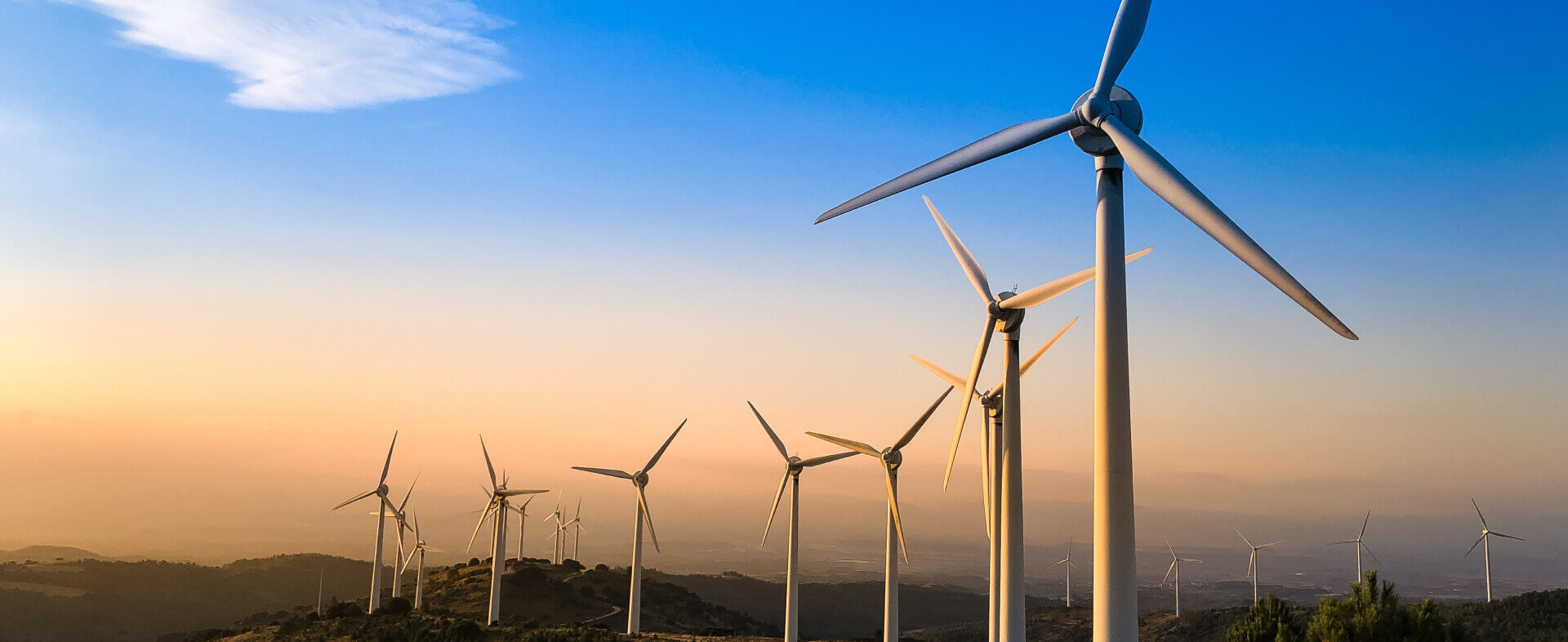 Ecoserra infrastructure